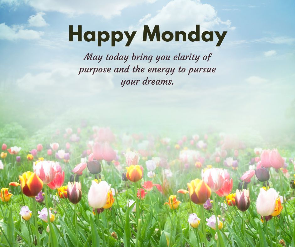 beautiful happy monday images