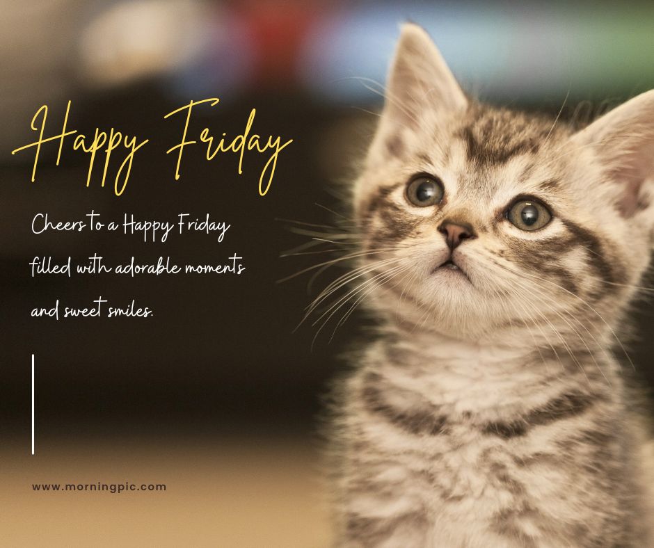 cute happy friday images