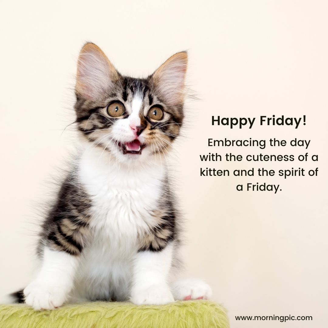cute happy friday images