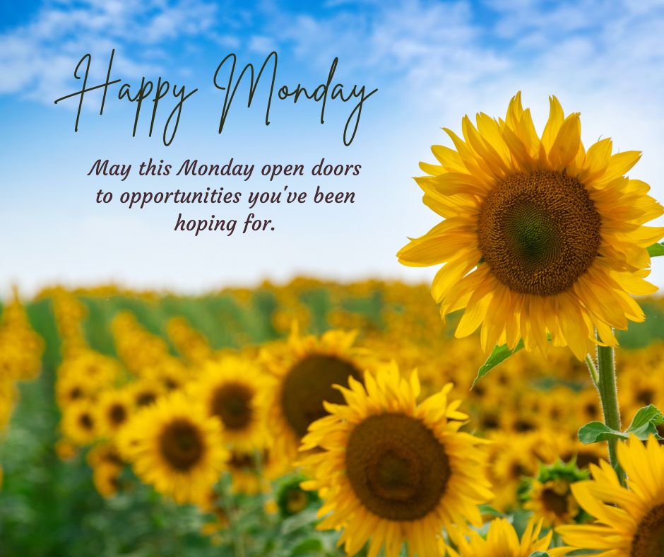 cute happy monday images