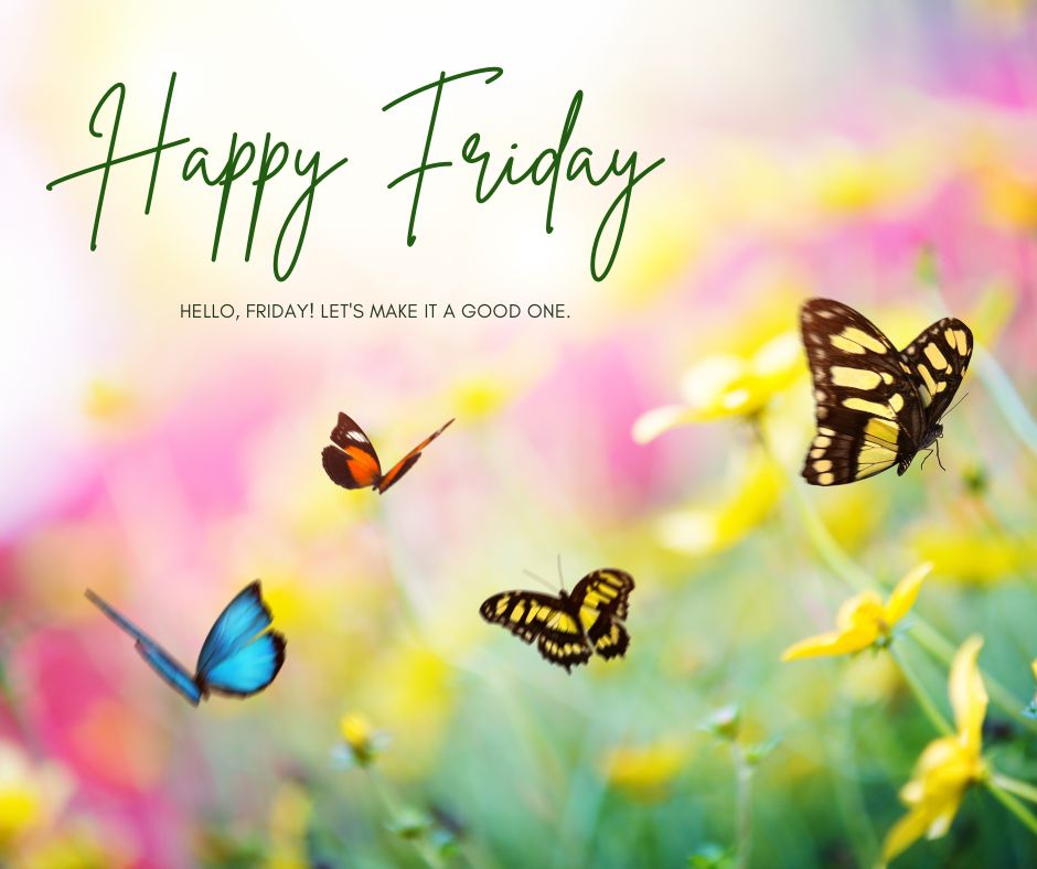 Hello, Friday! Let's make it a good one.