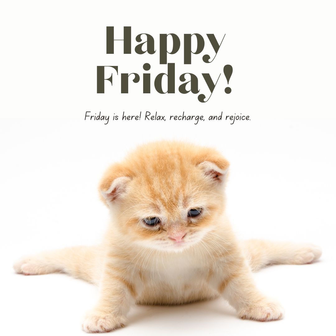 Friday is here! Relax, recharge, and rejoice.