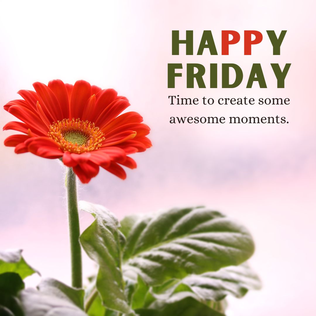 Happy Friday! Time to create some awesome moments.