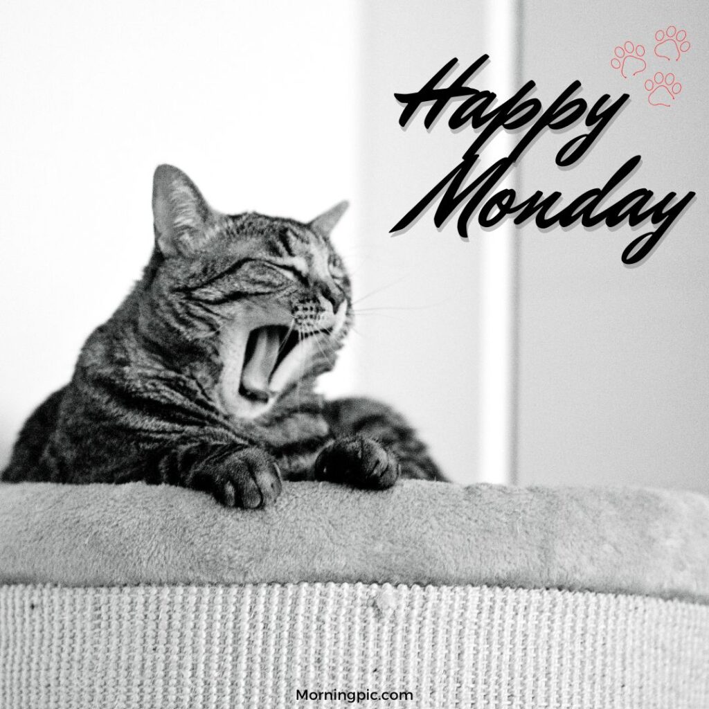 happy monday images