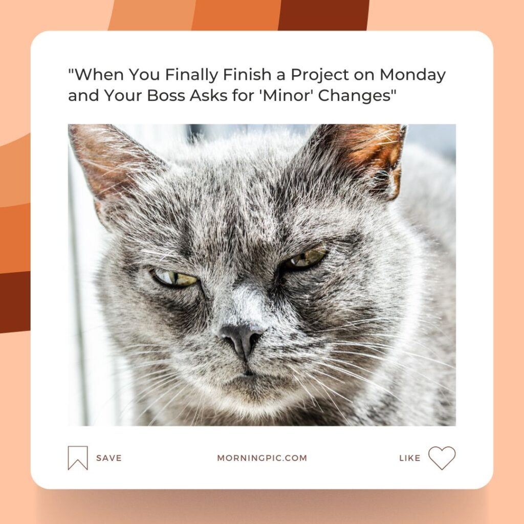 happy monday images funny